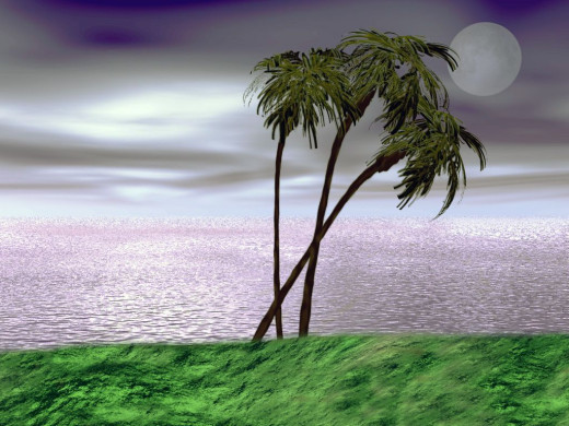 11719 (a): :1024x768